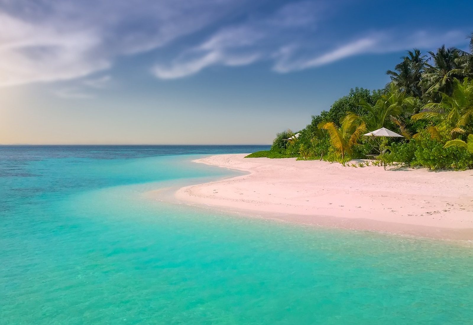 Plage tropicale bordée de palmiers au coucher du soleil